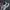 Nike Gorpcore Indie Sneakers Pria white gray photo 5