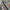Maison Margiela Casual Casual shirt Pria multicolor photo 5