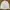 ABERCROMBIE & FITCH BASIC WHITE BUTTON DOWN LONG SLEEVE OXFO photo 1