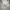 ABERCROMBIE & FITCH BASIC WHITE BUTTON DOWN LONG SLEEVE OXFO photo 5