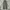 Streetwear Sportswear Sweatpants & Joggers Pria green photo 5