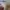 Sewing Chop Oalls by JohnBull Selvedge Jeans size tag 30 photo 8