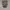 Converse Streetwear Casual Sneakers Pria white tan photo 4