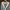 Zara Tweed Cardigan La Cheminee photo 4