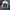 Track Jacket Champion Authentic Athletic Apparel Style