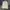 Hoodie Nike Small Logo Light Cream Luxury photo 3