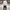 Hoodie Feltics NYC White Luxury photo 1