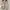 Nike Luxury Casual Sneakers Pria cream photo 4