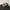 Back number Black Wash New York Tapered photo 8
