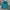 Hoodie Parka Uniqlo Tosca Luxury photo 3