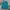 Hoodie Parka Uniqlo Tosca Luxury photo 2