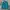 Hoodie Parka Uniqlo Tosca Luxury
