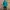 Hoodie Parka Uniqlo Tosca Luxury