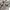 Abercrombie & Fitch Y2K Ramones Beige Cotton Biker Jacket photo 7