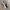 Adidas Casual Casual shoe Pria white black photo 8
