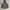 Japanese Man Paded Jacket Outdoor 