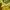 Jersey football puma  brazil photo 4
