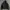 Carhartt kodiak blouson jacket photo 10