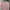 Japanese brand Minimalist Casual Shirt Wanita pink photo 1