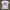 Tshirt Alpha Industries Logo