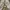 Futurist Puffer jacket Pria multicolor white photo 1