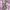 Maje One Set Dress photo 4