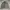 Polo Ralph Lauren Casual Harrington jacket Pria gray photo 3