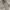 Polo Ralph Lauren Casual Harrington jacket Pria gray photo 4