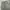 Nike Streetwear Casual Sweatpants & Joggers Pria gray photo 1