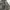 Celana Jeans Denim Levis merk Nudie Jeans,celana denim celan photo 3