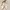 Christian Dior J’Adior Slingback Flat Cream Yellowing Size photo 8