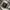 Japanese brand Y2K Casual Formal shirt Pria white gray photo 4