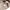 Polo Ralph Lauren Minimalist Casual Sweatshirt Pria khaki photo 6