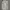 ZARA Luxury Muslim Midi dress Wanita multicolor photo 1