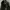 MILITARY JACKET photo 4