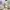 Jordan 1 Mid GS Pastel Pink Mint Lilac Baby Blue Original photo 2