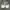 BALLY Asher Leather Sneakers – White Leather photo 1