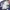 LEE COOPE FLY BUTTON LIGHT BLUE JEANS photo 4