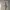 Rag Machine Military Fatigue Pants photo 6