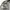 Uniqlo Streetwear Y2K Harrington jacket Pria tan photo 5