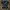 Vivienne Westwood Man Orb Logo Over Print photo 1