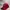 New Era x St Louis Cardinals MLB 39Thirty baseball cap photo 2