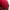 New Era x St Louis Cardinals MLB 39Thirty baseball cap photo 7