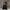 leather jacket crop hitam jaket kulit photo 2