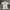 Jersey Nike Dri Fit Center Logo photo 1