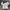 Jersey Adidas Embroidery Small Logo photo 1