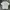 Guess Backhit Logo Tee