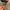 Hoodie starter logo embroidery  photo 3