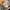 Hoodie carhartt spell out grey photo 3