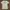 Hurley Streetwear Skater T-shirt Pria White